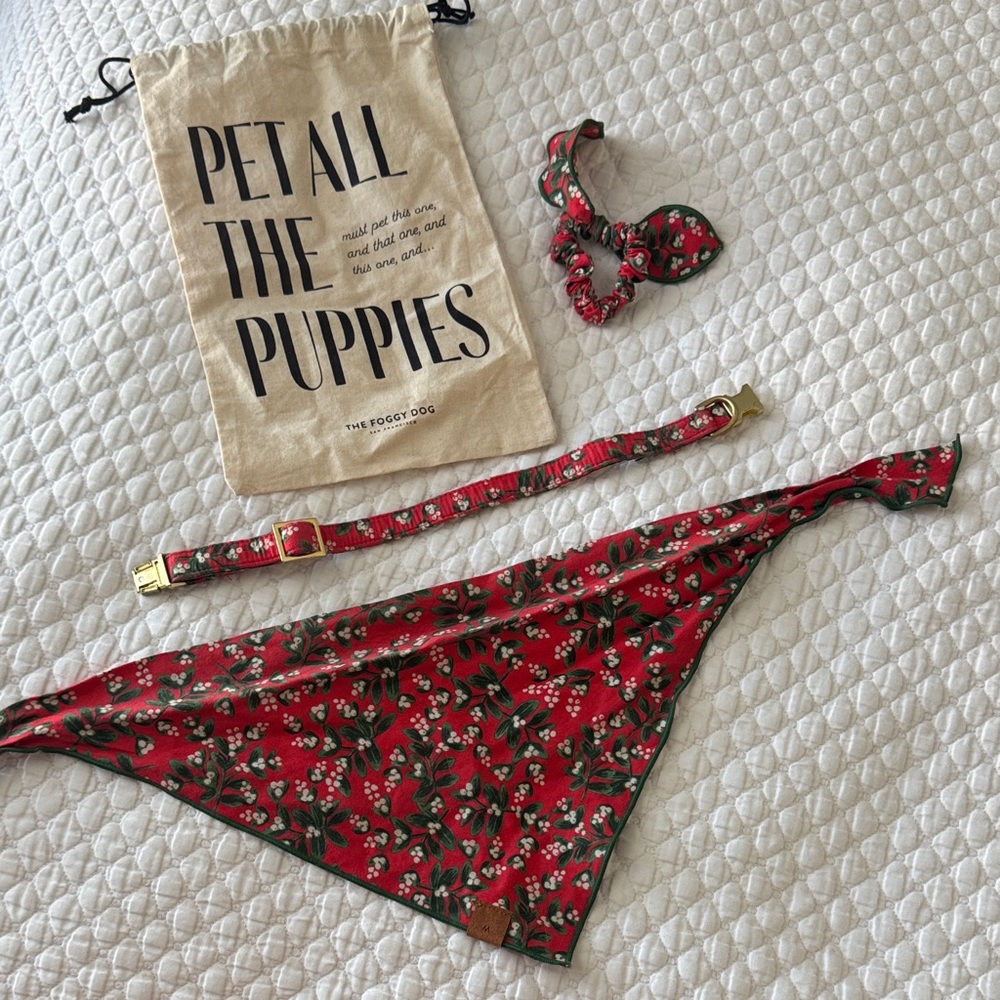 The Foggy Dog Red Floral Dog Bandana Set (Small)